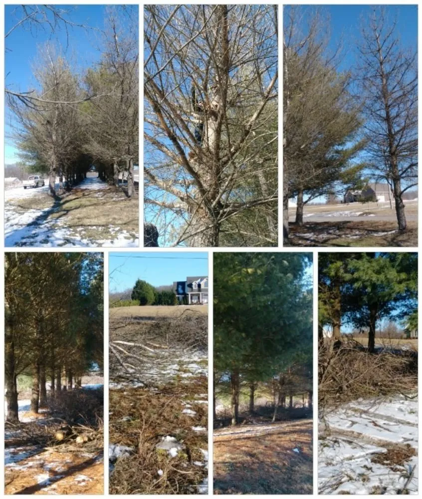 Top-rated garden landscaping in Chapmansboro, TN by Eden's Lawncare & Tree Service