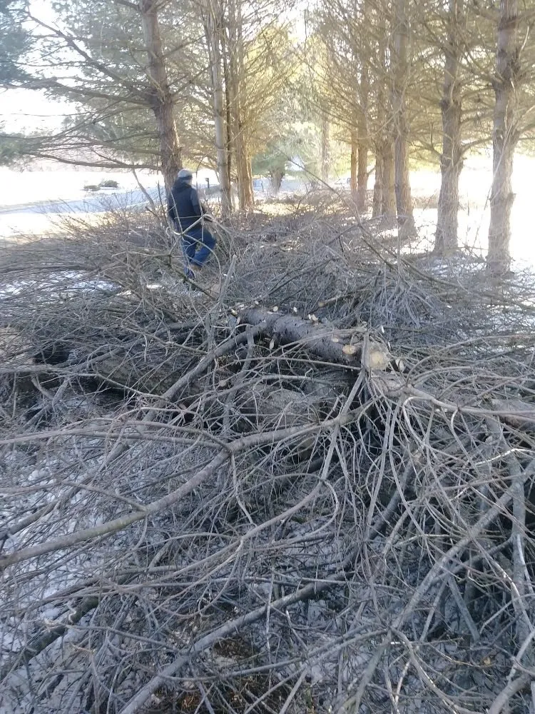 Top-rated yard maintenance experts serving Chapmansboro, TN - Eden's Lawncare & Tree Service