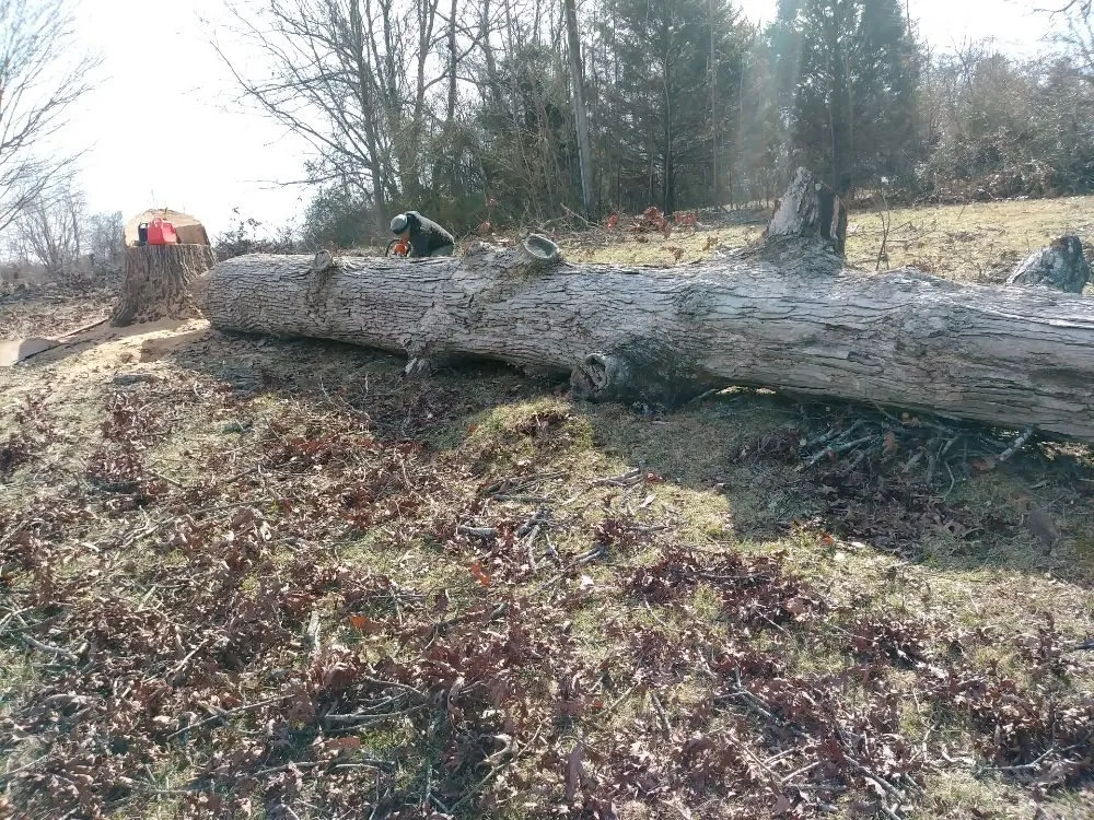 Top-rated landscape installation experts serving Chapmansboro, TN - Eden's Lawncare & Tree Service