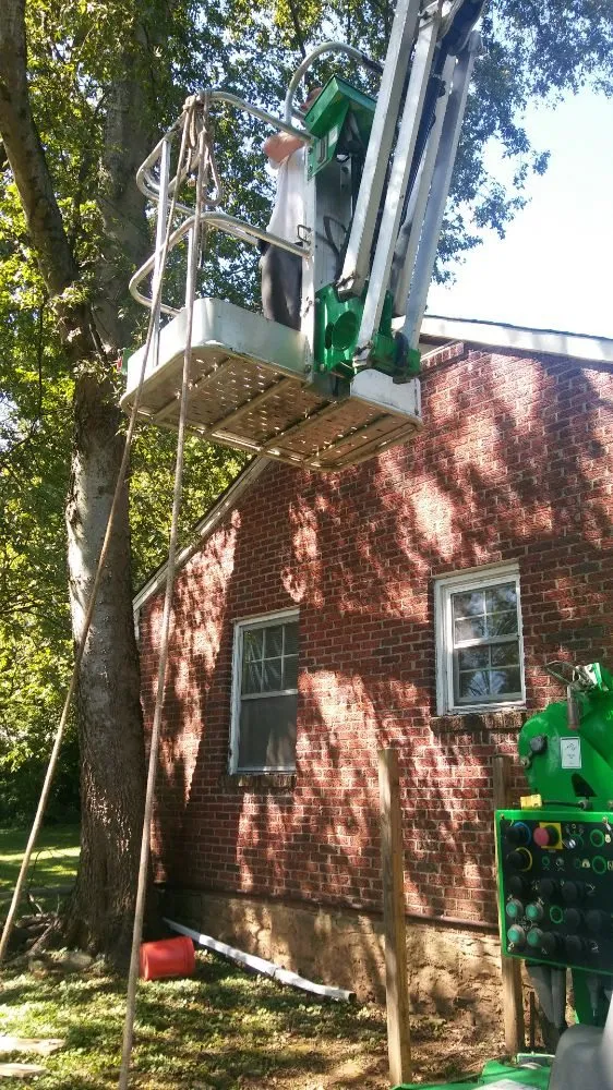 Top-rated landscaping services near you across Chapmansboro, TN - Eden's Lawncare & Tree Service