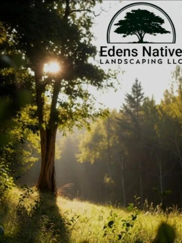 Affordable landscape design for year-round maintenance across Plymouth, MA - Eden's Native Landscaping