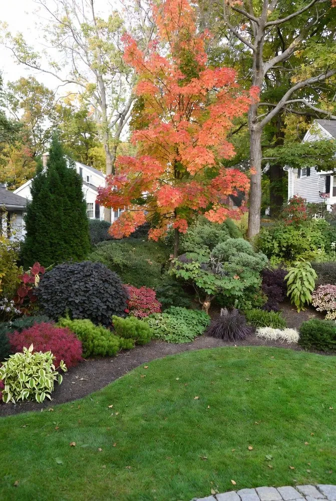 Expert yard maintenance for year-round maintenance in Plymouth, MA by Eden's Native Landscaping