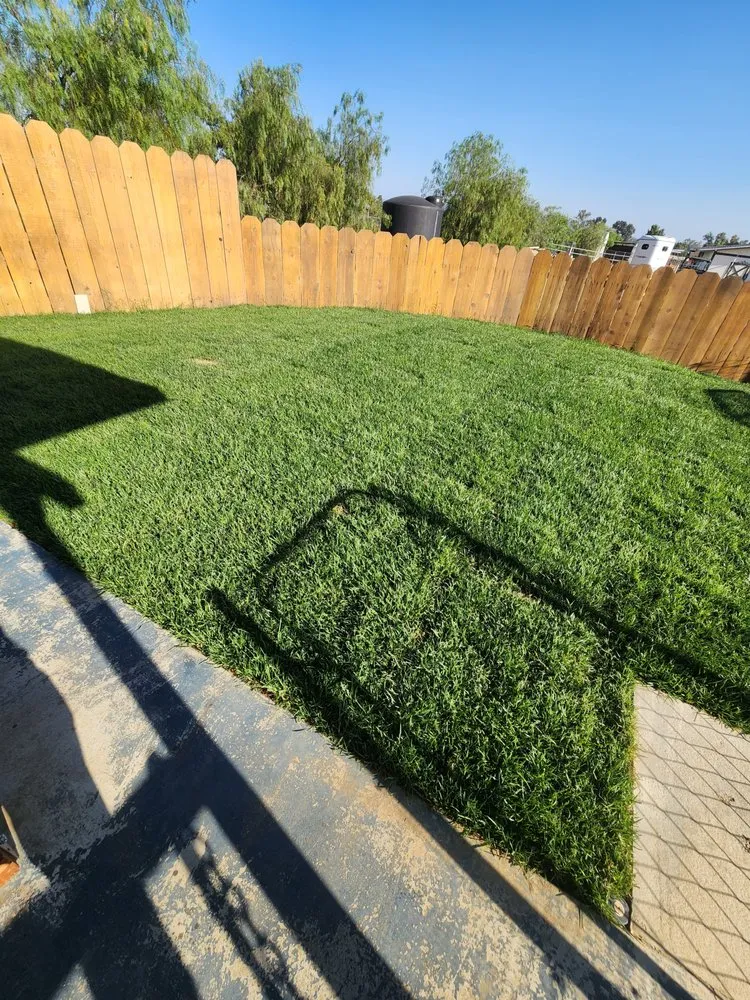 Trusted landscaping services experts serving Morongo Valley, CA - Eden's Paradise Landscaping