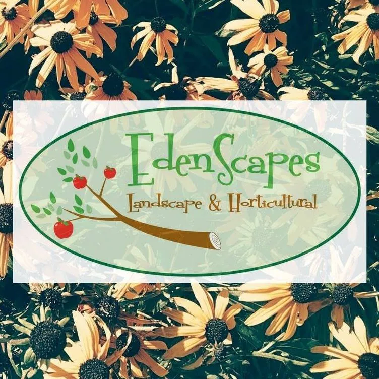 Local landscape design experts serving Lafayette, LA - EdenScapes