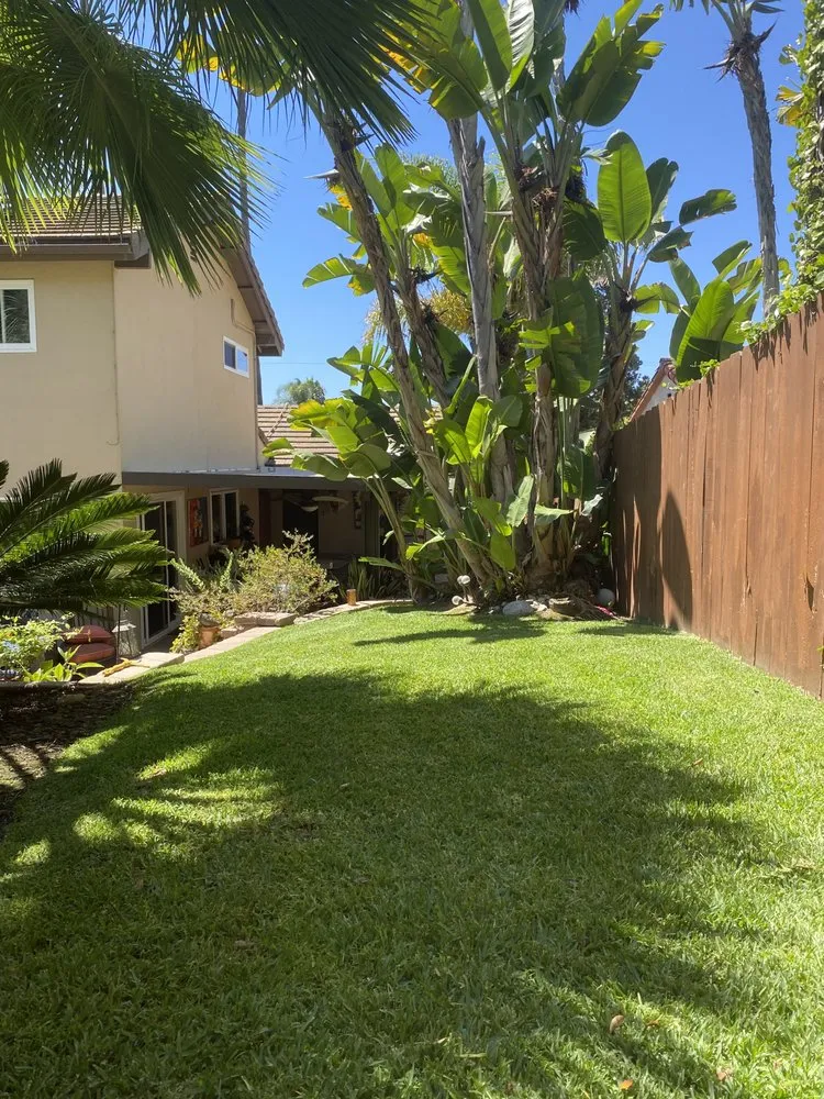 Affordable lawn mowing service experts serving San Marcos, CA - EdenView Gardening Services