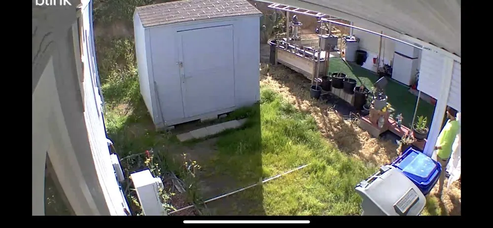 Affordable lawn care service for beautiful yards in San Marcos, CA by EdenView Gardening Services