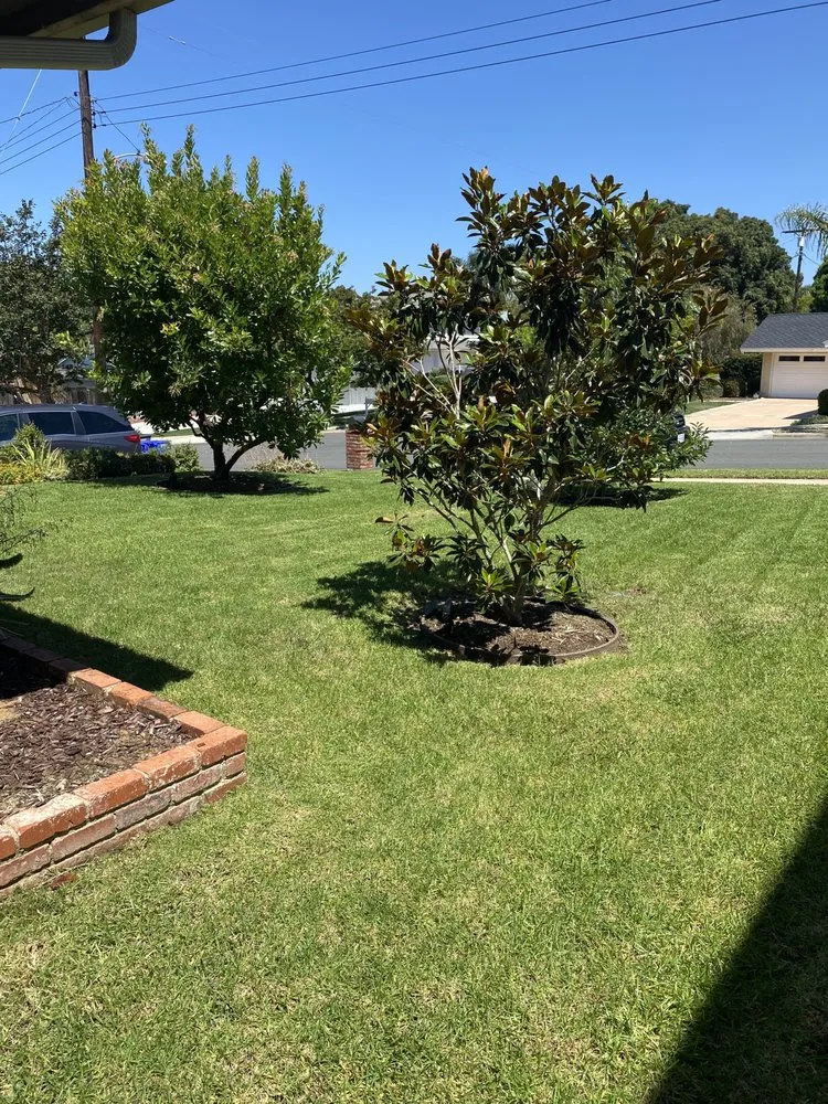 Trusted lawn mowing service for outdoor upgrades in San Marcos, CA by EdenView Gardening Services