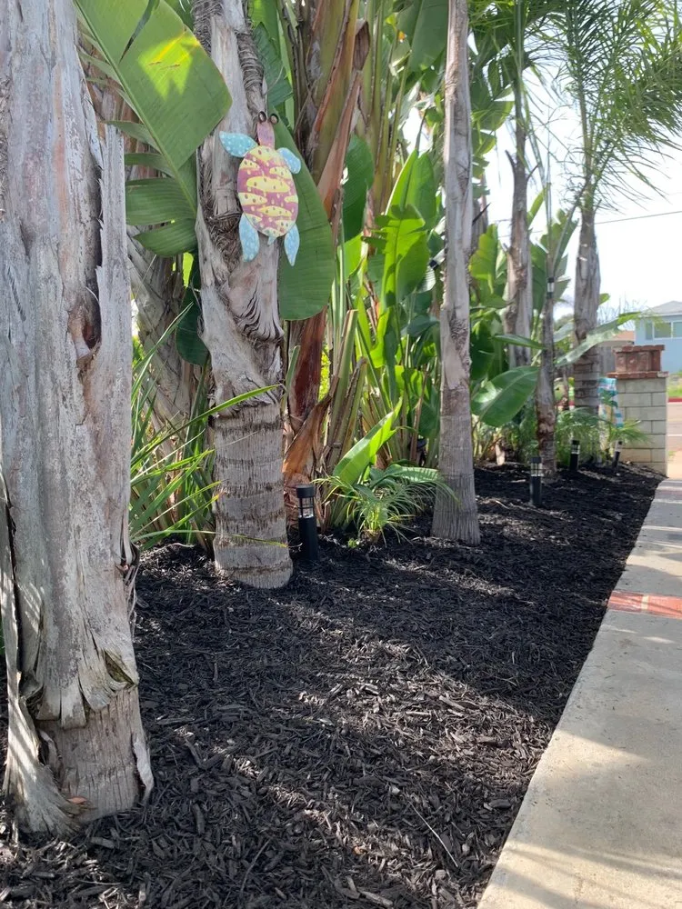 Affordable lawn care service for homes in San Marcos, CA by EdenView Gardening Services