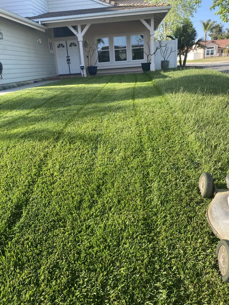 Affordable lawn mowing service for beautiful yards in San Marcos, CA by EdenView Gardening Services
