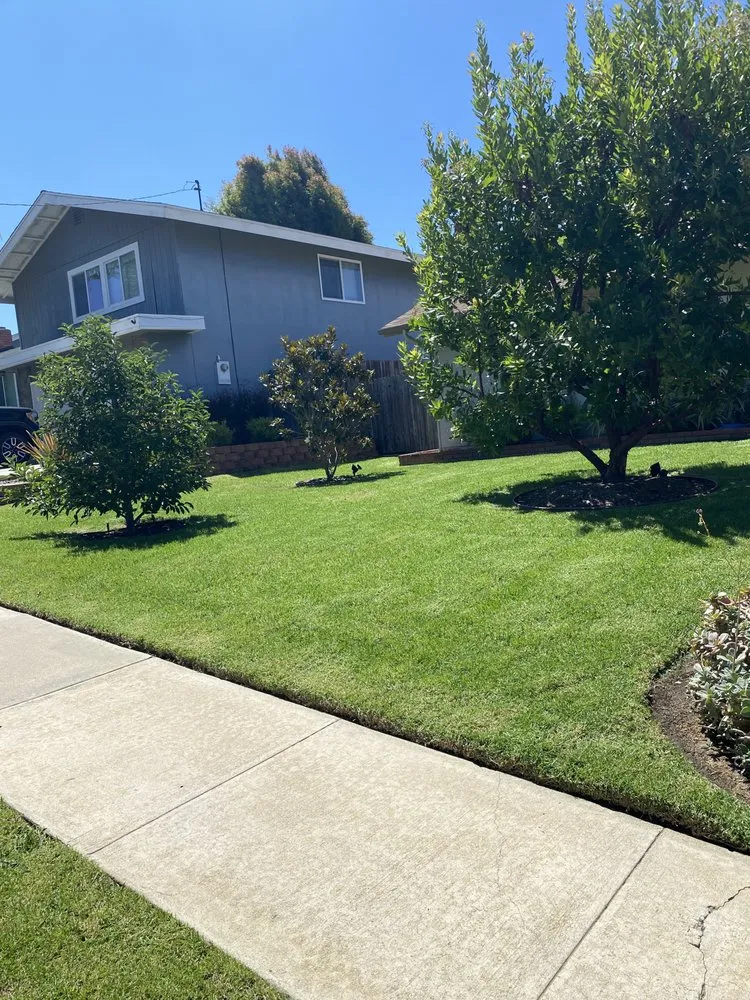 Professional lawn care service near you across San Marcos, CA - EdenView Gardening Services
