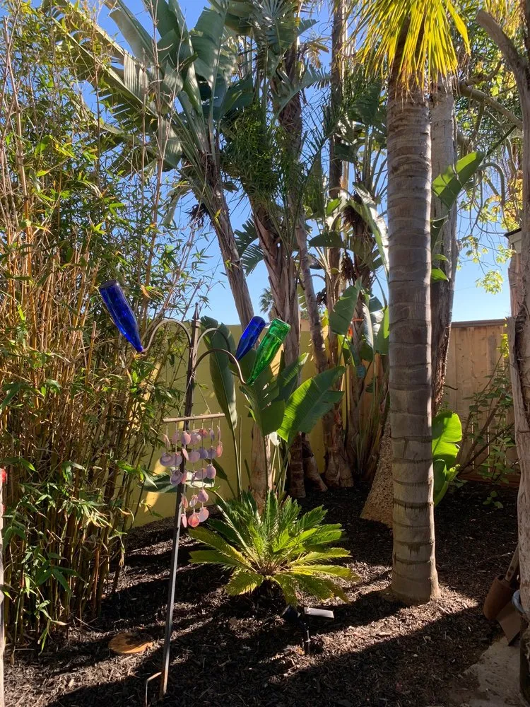 Reliable yard cleanup service in San Marcos, CA - EdenView Gardening Services