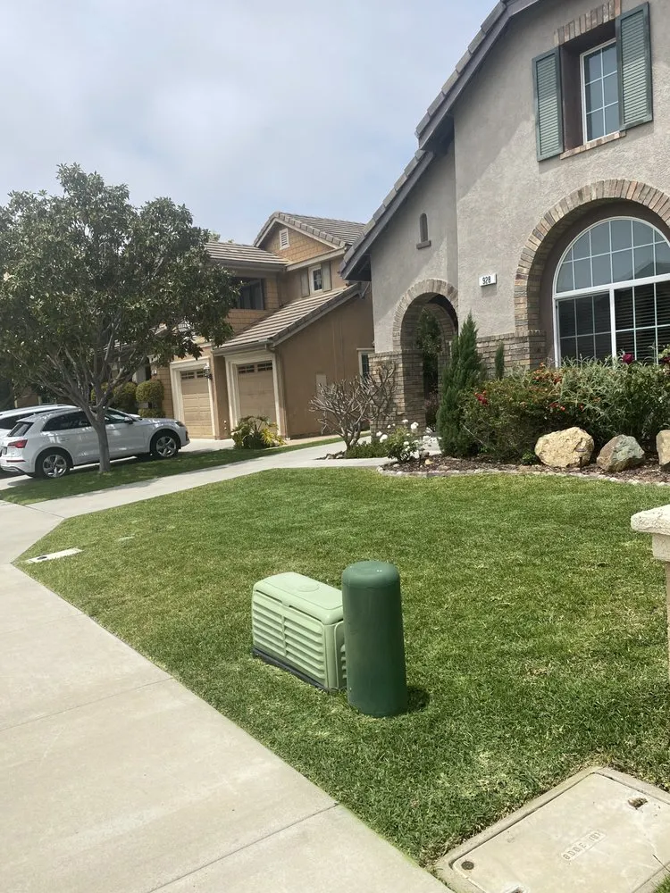 Local yard cleanup service with custom design across San Marcos, CA - EdenView Gardening Services