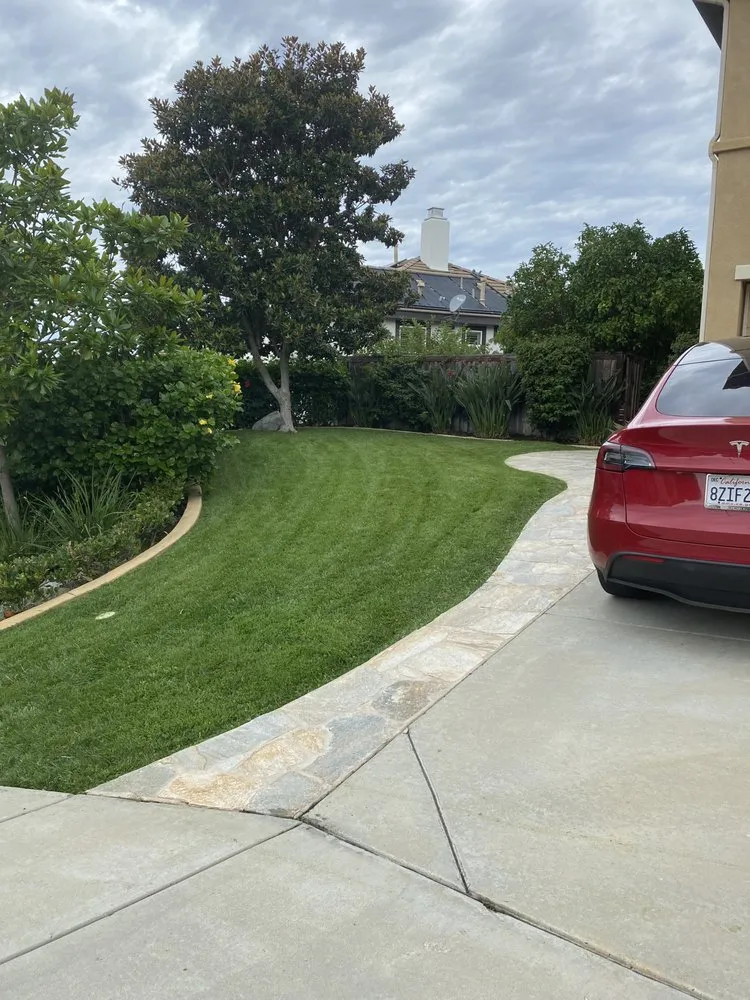 Trusted lawn mowing service for year-round maintenance across San Marcos, CA - EdenView Gardening Services