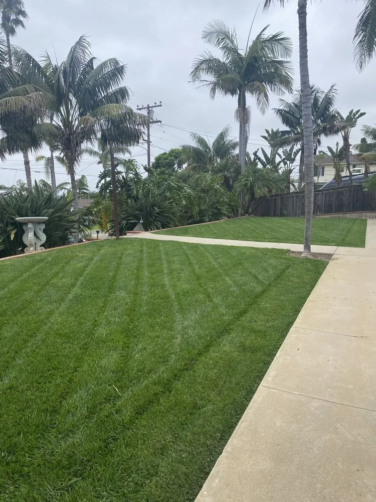 Professional yard cleanup service for outdoor upgrades across San Marcos, CA - EdenView Gardening Services