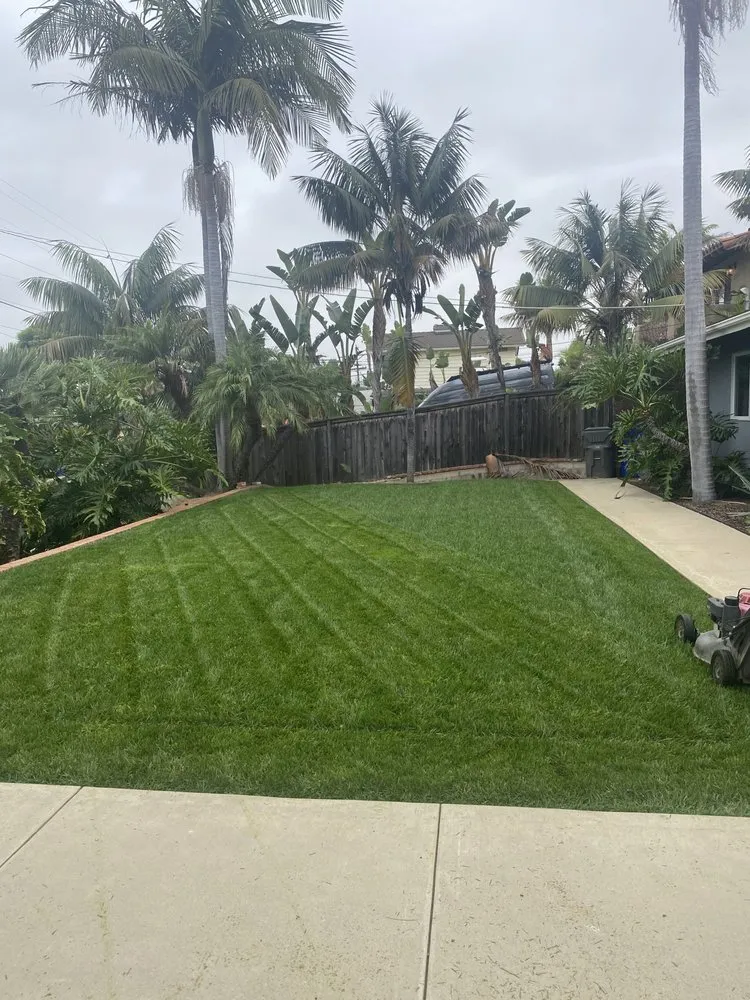 Top-rated landscape installation in San Marcos, CA - EdenView Gardening Services