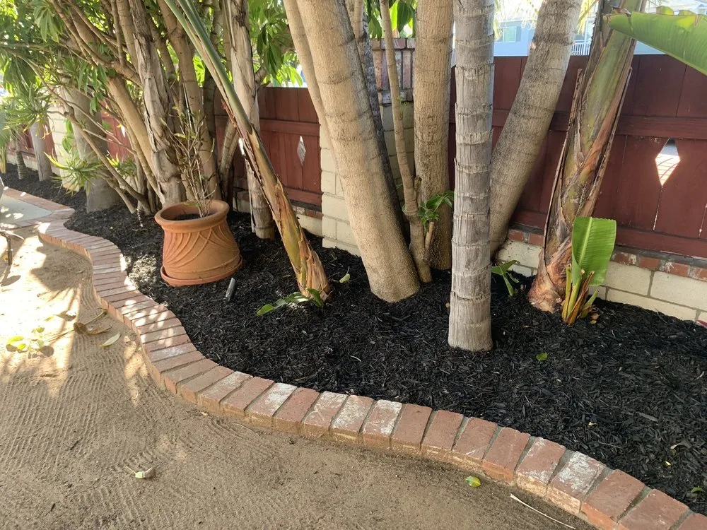 Professional landscape installation in San Marcos, CA by EdenView Gardening Services