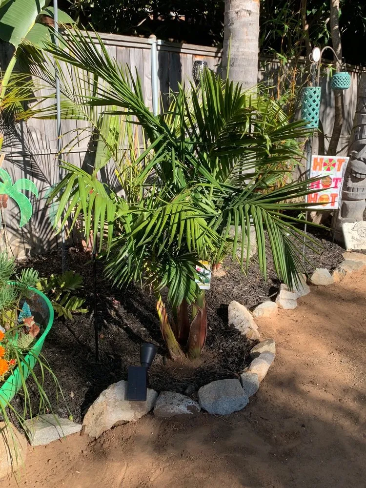 Reliable residential landscaping for outdoor upgrades in San Marcos, CA by EdenView Gardening Services