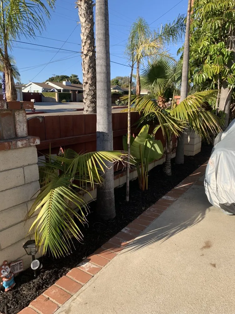 Professional yard maintenance experts serving San Marcos, CA - EdenView Gardening Services