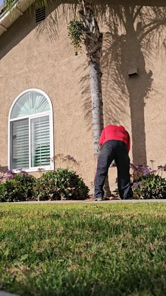 Top-rated residential landscaping in Riverside, CA - Eder Tree Service and Lawn Maintenance