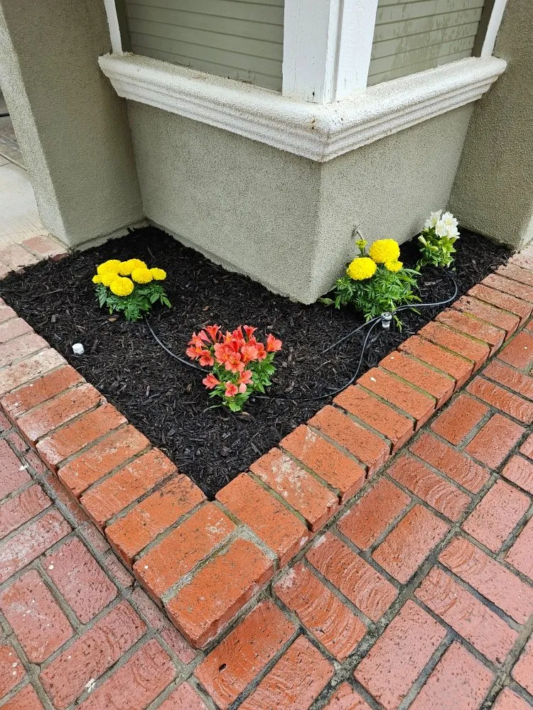 Affordable lawn care service in Riverside, CA by Eder Tree Service and Lawn Maintenance