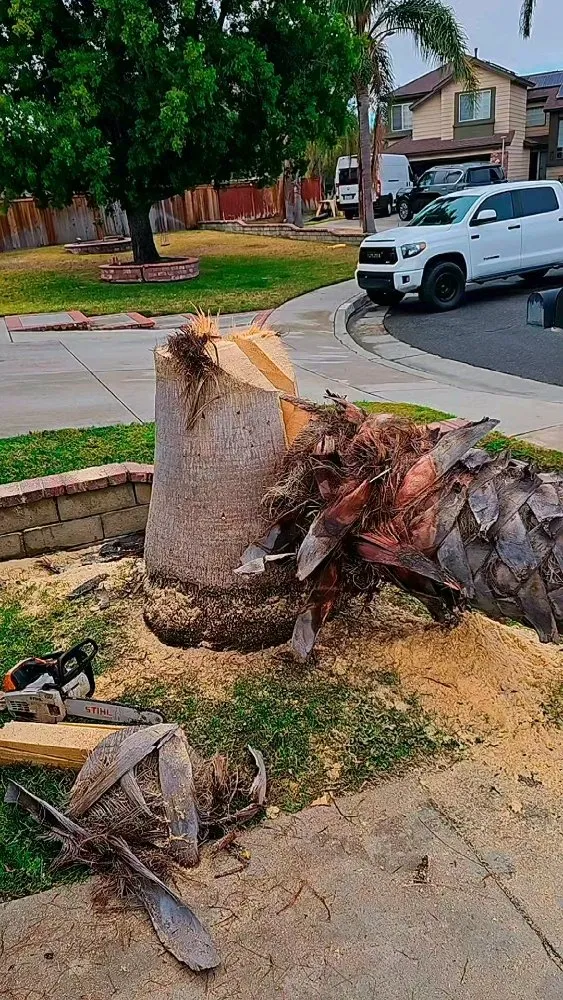 Trusted landscaping services for beautiful yards across Riverside, CA - Eder Tree Service and Lawn Maintenance