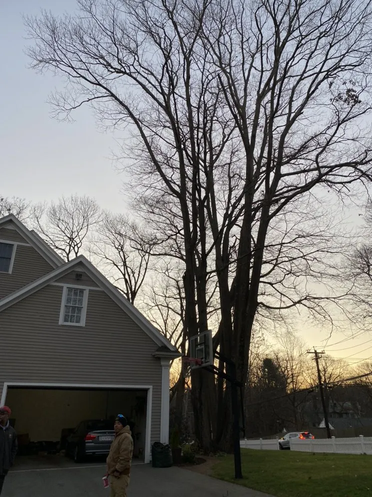 Reliable outdoor landscaping for year-round maintenance in Peabody, MA by Edgar and Sons