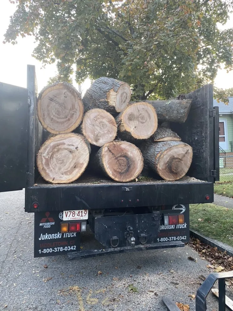 Affordable landscape installation in Peabody, MA by Edgar and Sons