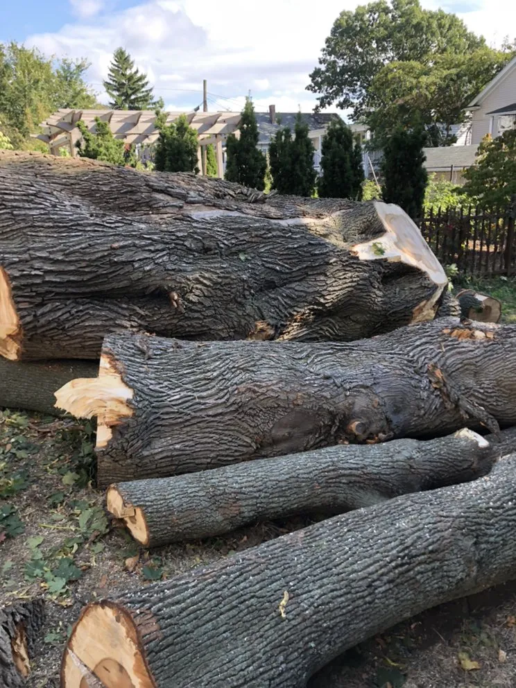 Professional yard cleanup service with custom design across Peabody, MA - Edgar and Sons