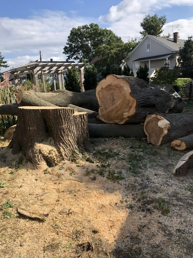 Trusted lawn care service near you across Peabody, MA - Edgar and Sons