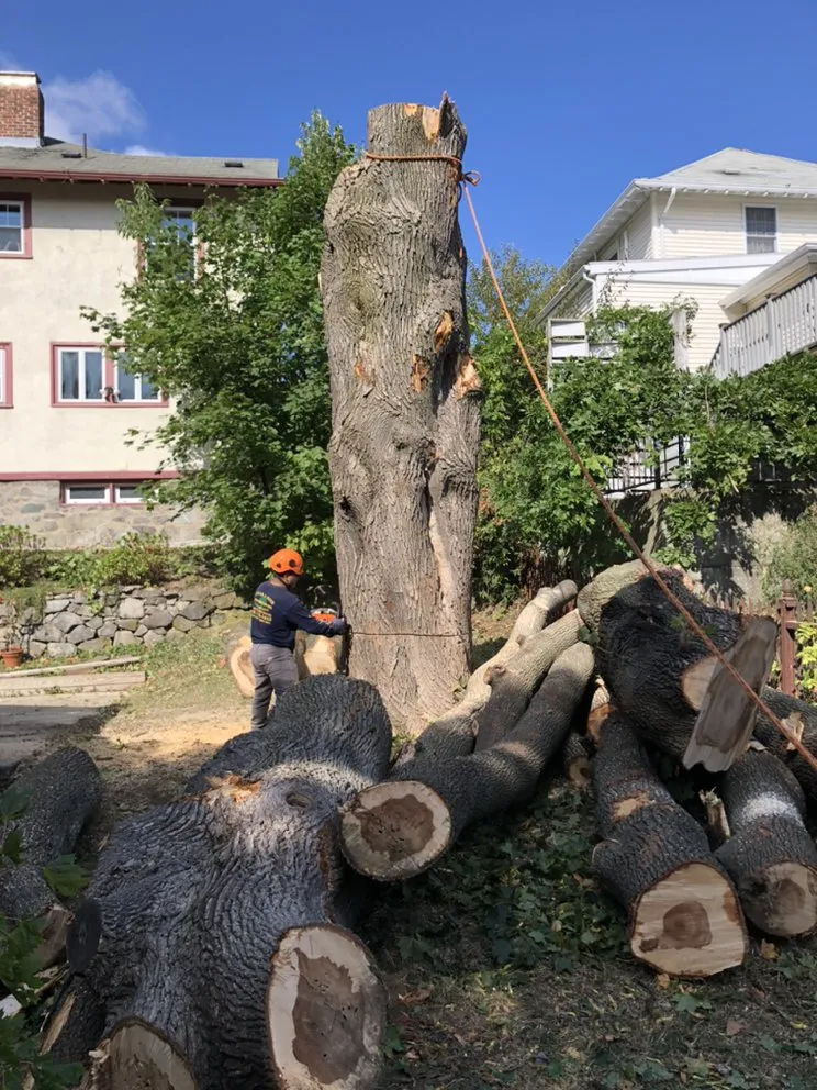 Professional lawn care service in Peabody, MA - Edgar and Sons