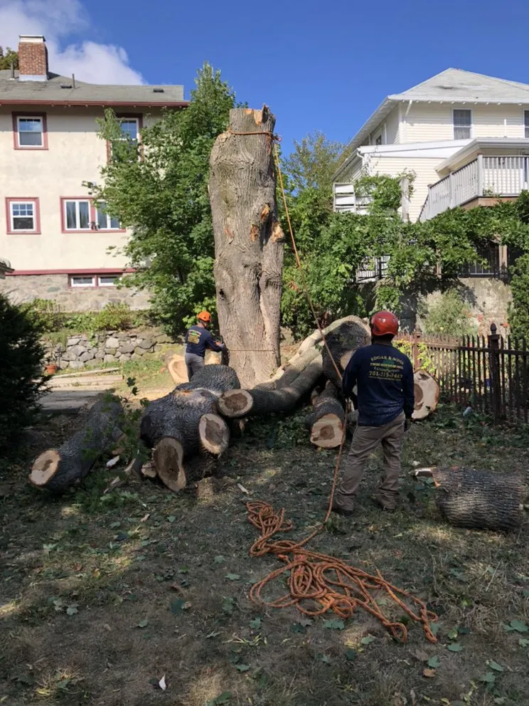 Custom landscape design for outdoor upgrades across Peabody, MA - Edgar and Sons