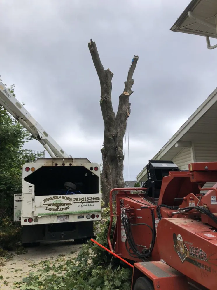 Professional outdoor landscaping experts serving Peabody, MA - Edgar and Sons