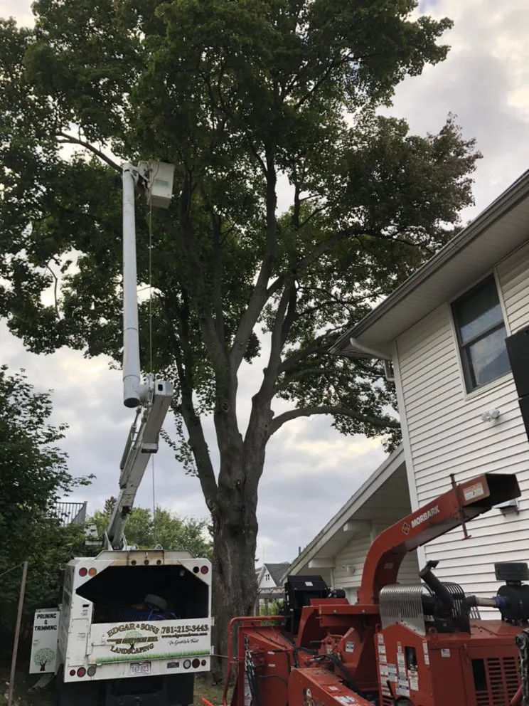 Professional landscape installation in Peabody, MA by Edgar and Sons