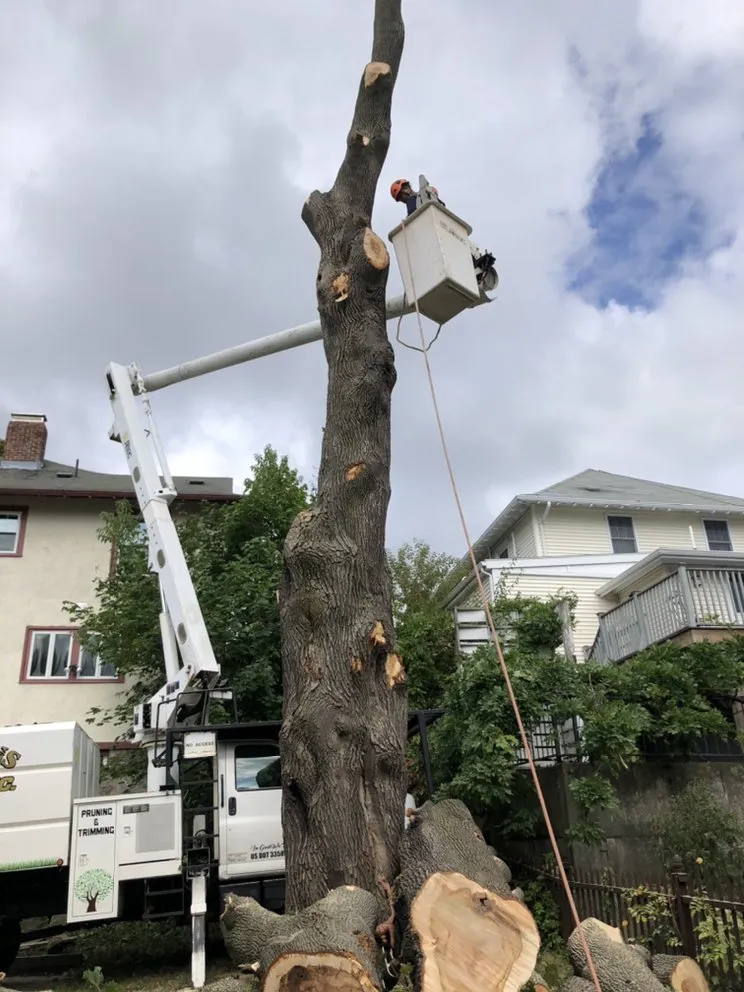 Affordable landscaping services in Peabody, MA - Edgar and Sons