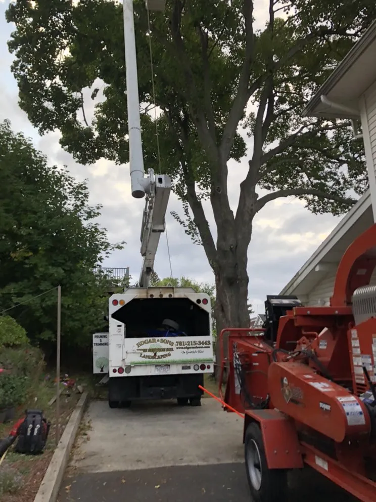 Custom yard cleanup service in Peabody, MA - Edgar and Sons