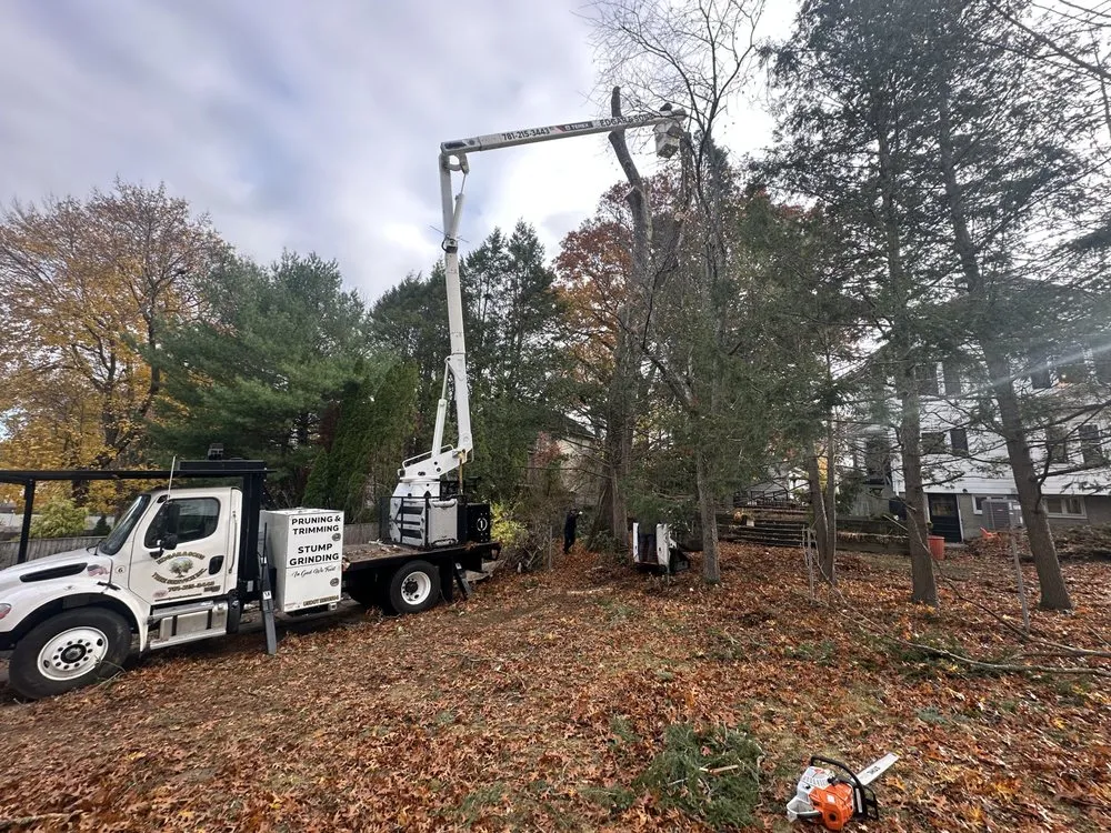 Affordable yard maintenance near you in Peabody, MA by Edgar and Sons