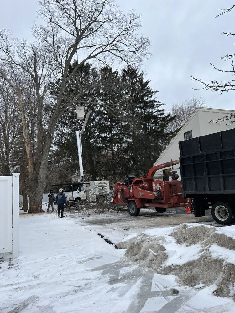 Top-rated lawn mowing service in Peabody, MA - Edgar and Sons