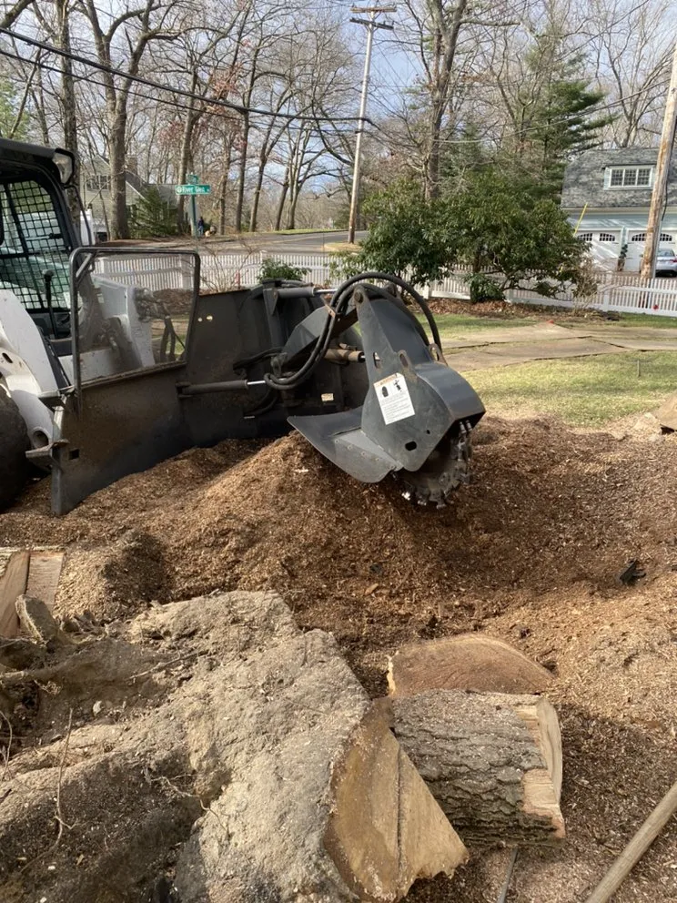 Professional landscaping services experts serving Peabody, MA - Edgar and Sons