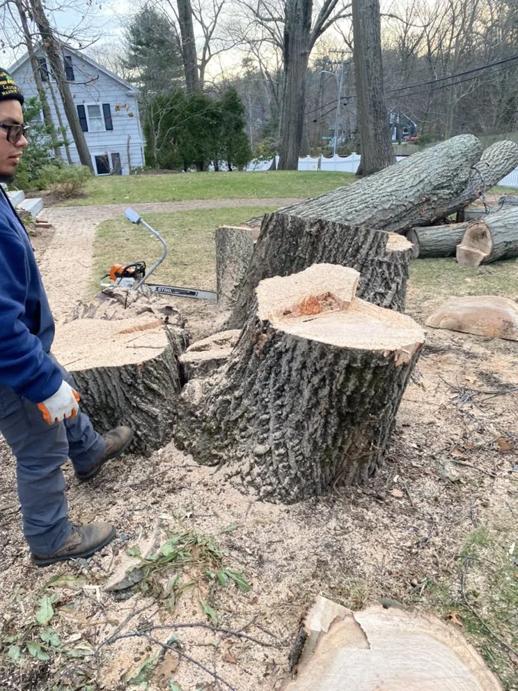 Reliable garden landscaping in Peabody, MA - Edgar and Sons