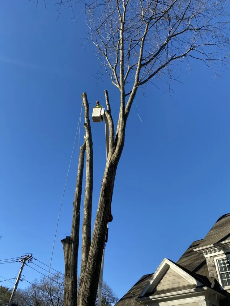 Trusted landscape design for outdoor upgrades in Peabody, MA by Edgar and Sons