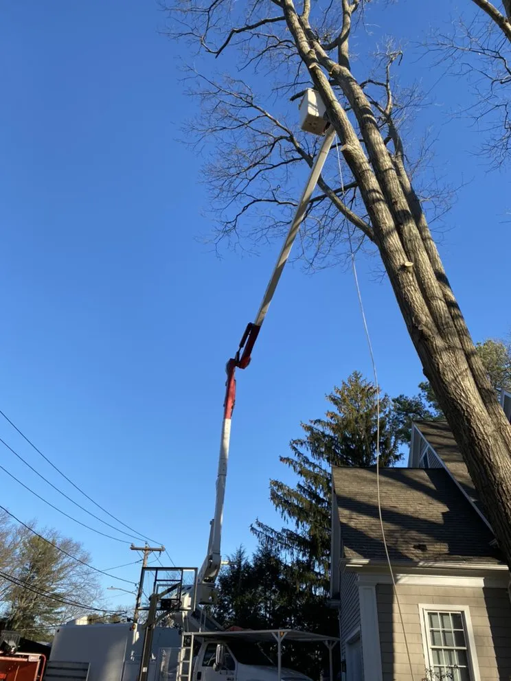 Reliable lawn mowing service near you across Peabody, MA - Edgar and Sons