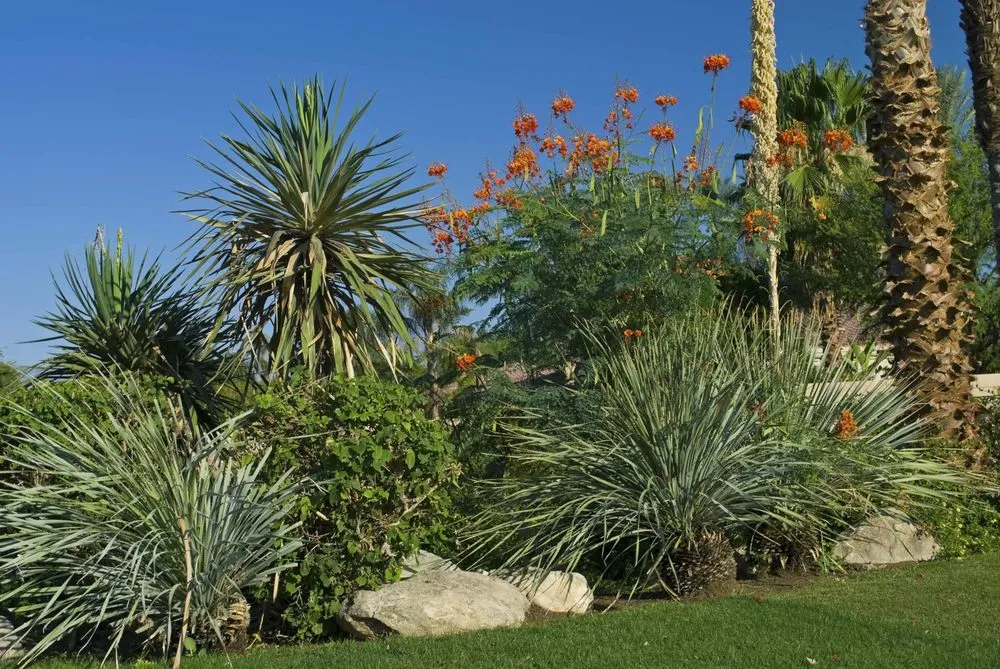 Custom landscape design for beautiful yards in Fort Lauderdale, FL by Edgar Gonzalez Landscaping Services