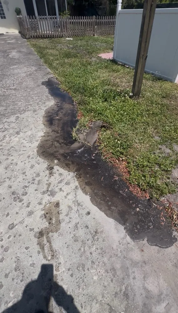 Expert landscaping services experts serving Fort Lauderdale, FL - Edgar Gonzalez Landscaping Services