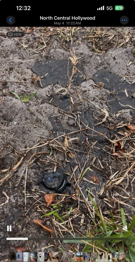 Top-rated yard maintenance in Fort Lauderdale, FL - Edgar Gonzalez Landscaping Services