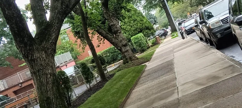 Reliable lawn care service for year-round maintenance in New York, NY by Edgar Hdz Landscaping and Construction Corp