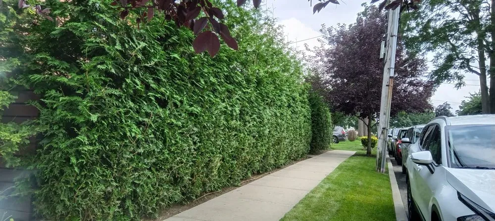 Affordable garden landscaping for outdoor upgrades in New York, NY by Edgar Hdz Landscaping and Construction Corp