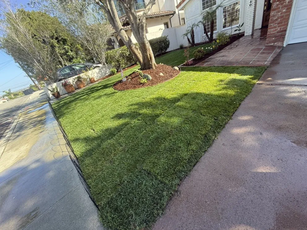 Professional landscaping services near you in Wilmington, CA by Edgar Landscaping