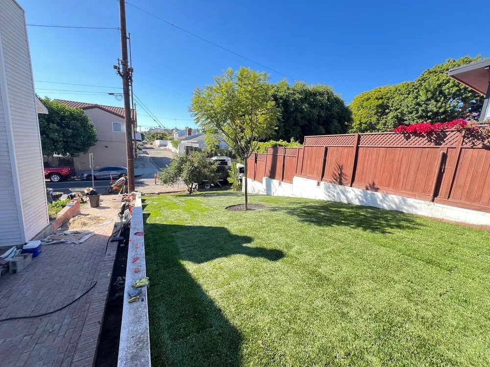 Professional lawn mowing service in Wilmington, CA - Edgar Landscaping
