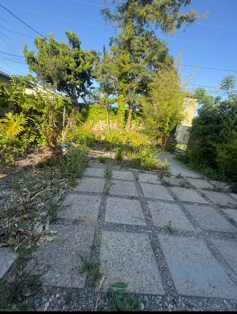 Professional landscape installation with custom design in Wilmington, CA by Edgar Landscaping