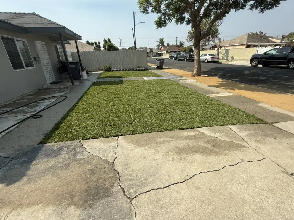 Affordable landscape installation in Wilmington, CA by Edgar Landscaping